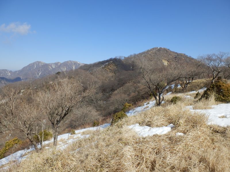 花立より望む塔ノ岳