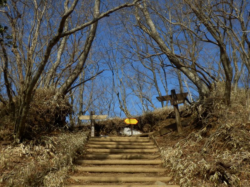 金冷シから塔ノ岳山頂へピストン