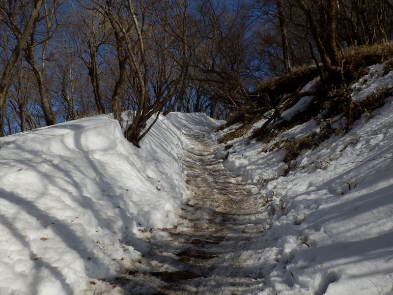 金冷シより塔ノ岳に向かう道