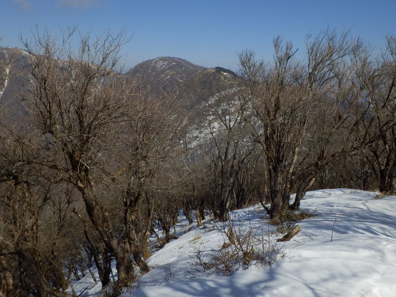 竜ヶ馬場と丹沢山を望む