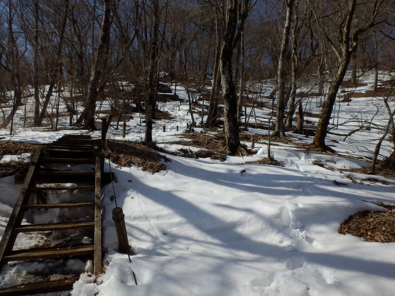 大丸最高地点を見上げる