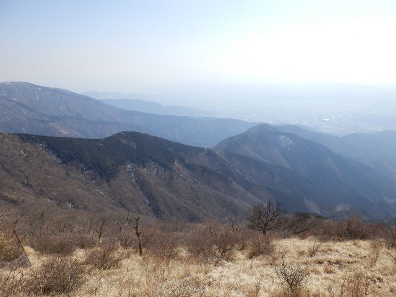 各尾根の裾と相模湾を望む