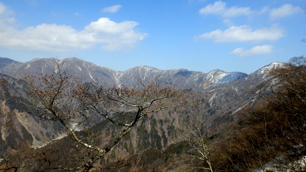 棚沢ノ頭から塔ノ岳まで（左→右）