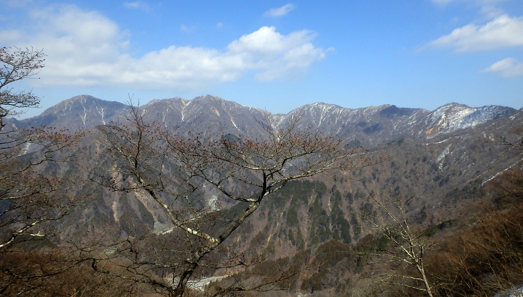 蛭ヶ岳から日高まで（左→右）
