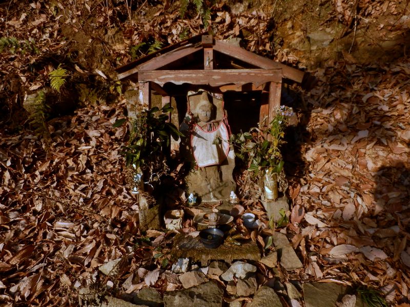 花を取り換えている