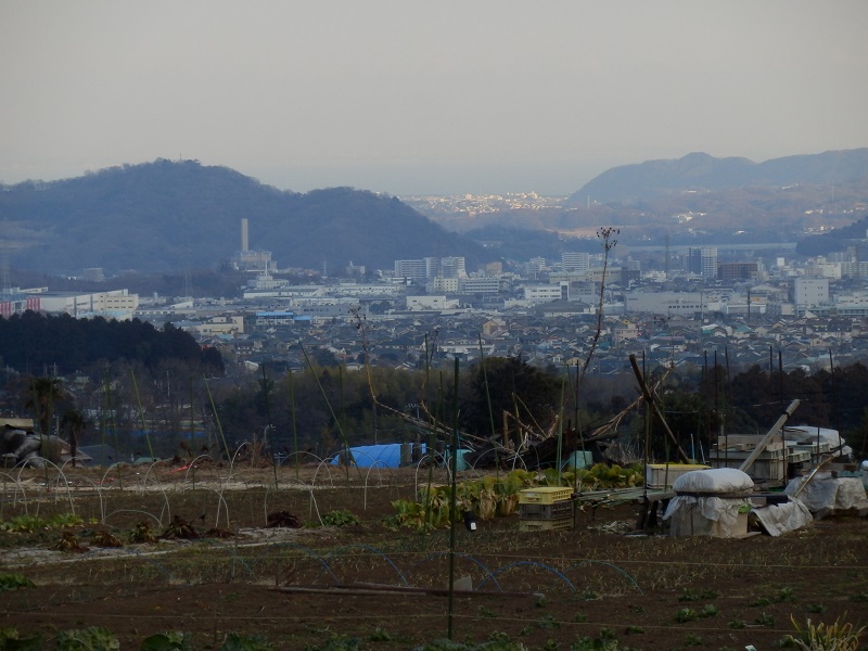 海が見える大倉