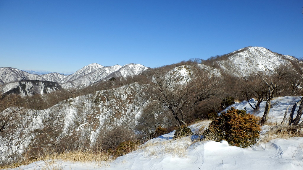 塔ノ岳、不動ノ峰、蛭ヶ岳、臼ヶ岳など