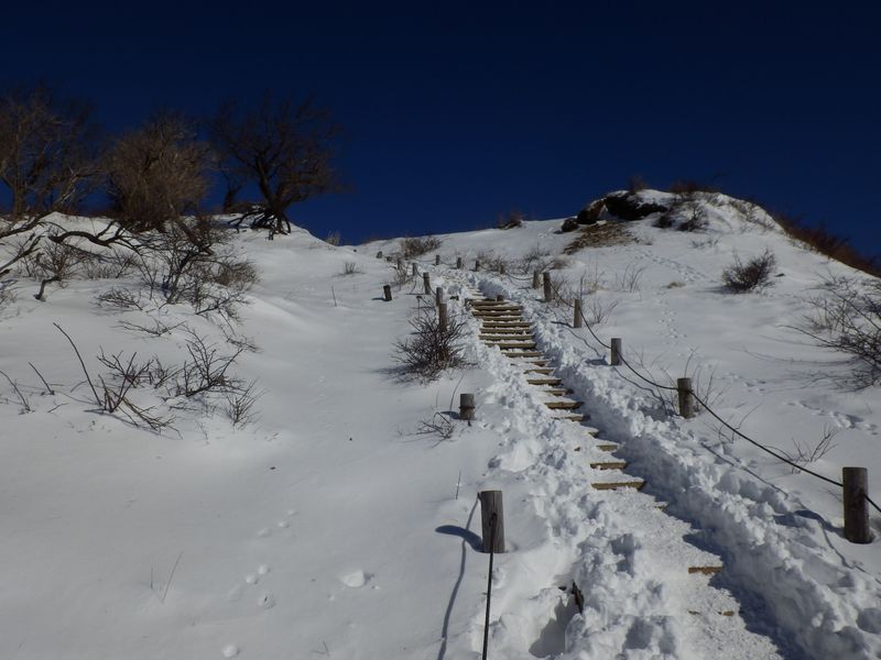 塔ノ岳山頂まであと2分