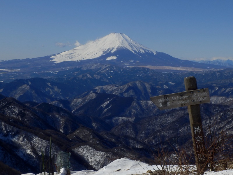 また来る日まで