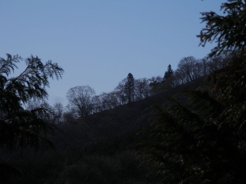 すてきな尾根が垣間見える