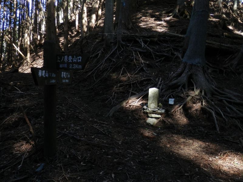二本杉峠