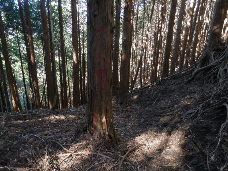 赤ペンキで「ちどり」