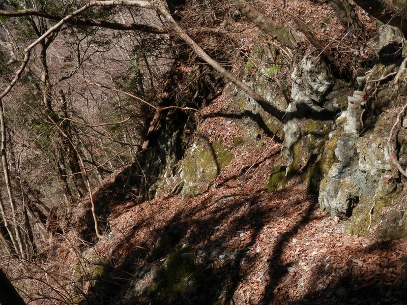 道はあるが厄介