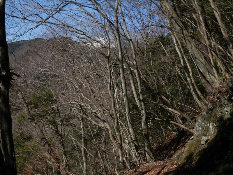 束の間ののどかさ