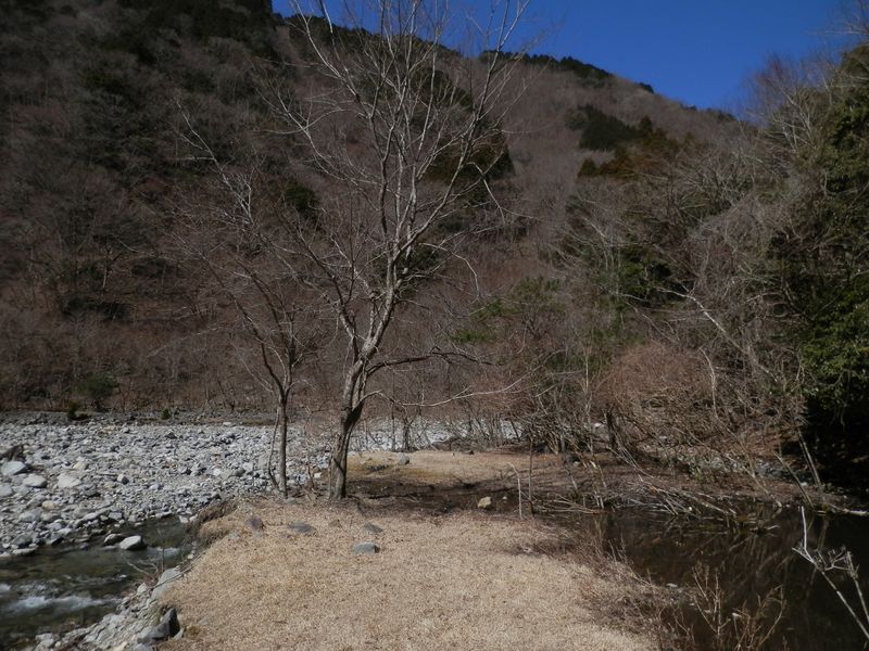 千鳥橋のわきの園地でお茶