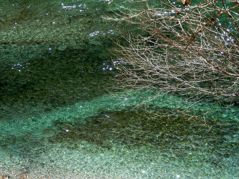 きれいな水だなあ