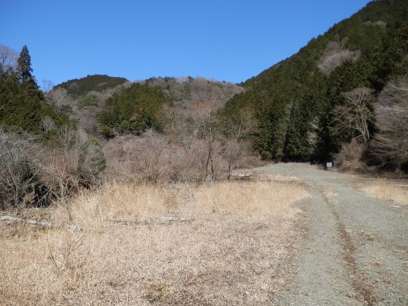 法行沢林道の広い部分