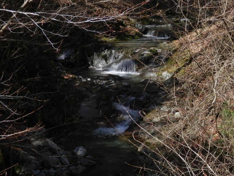 法行沢の流れがきれい