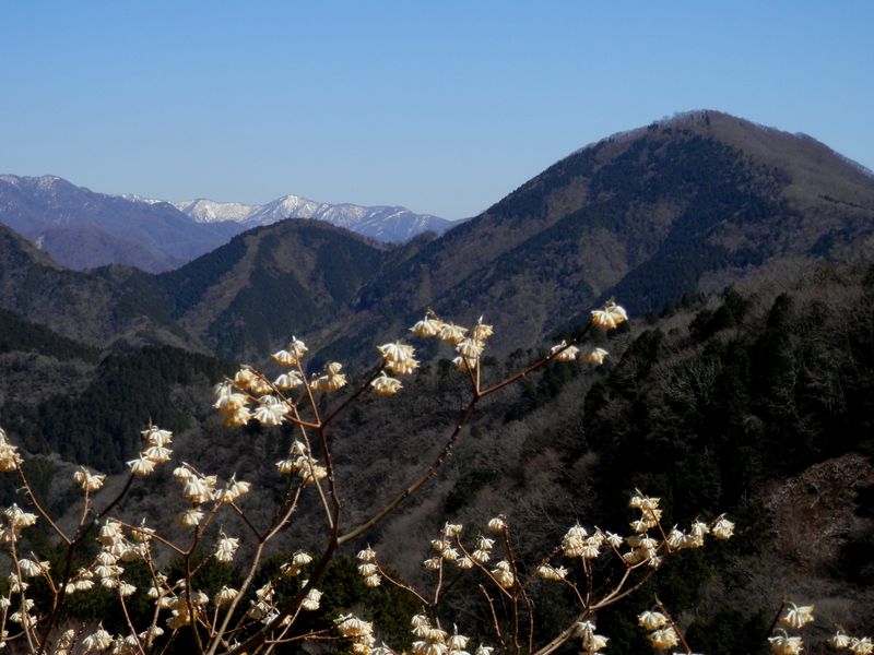 世附権現山と塔ノ岳を望む