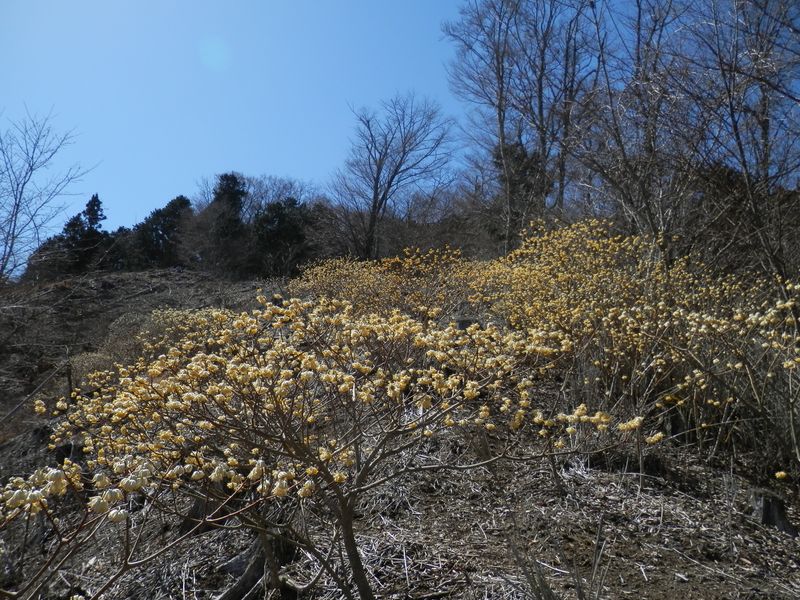 p3175888.jpg (large)