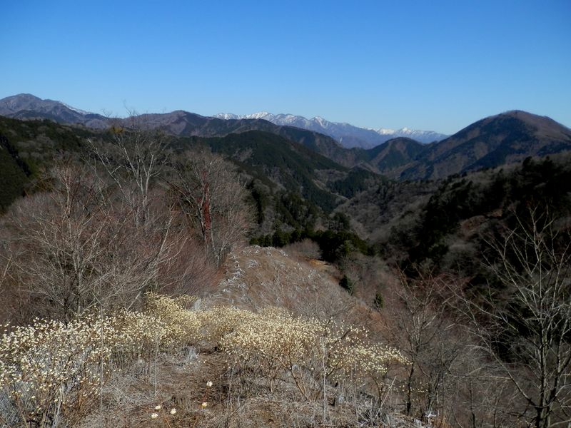 すこぶる見晴らしのよい尾根