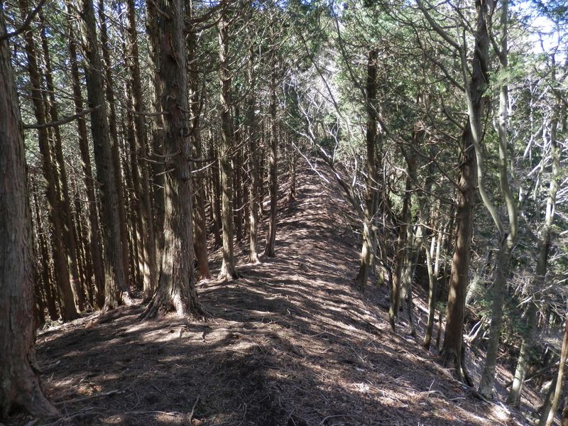 椿丸の主尾根に乗った