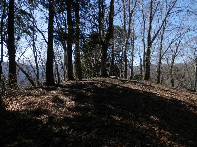 椿丸山頂に到着