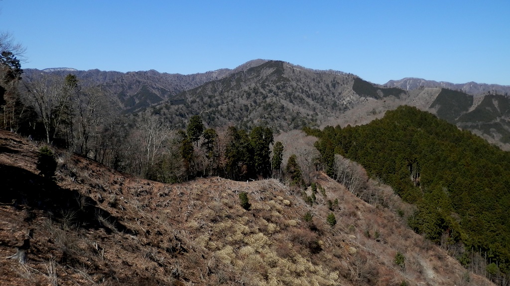 椿丸より、菰釣山と大栂が重なって見える (large)