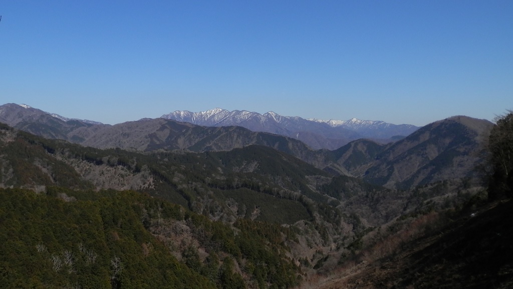世附権現山も見える