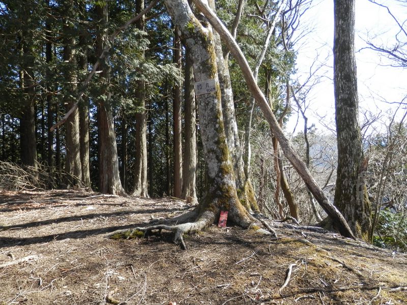 下山の途に就く