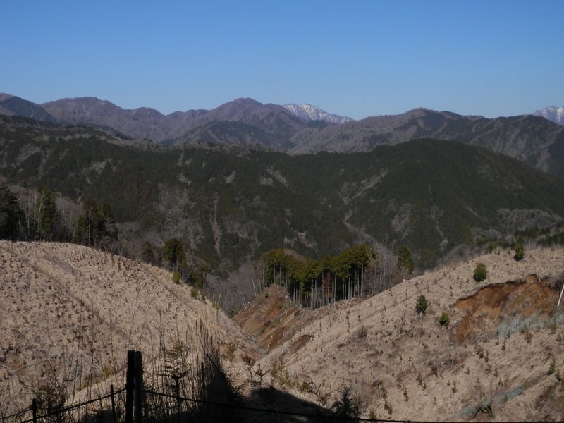 畦ヶ丸の右に大室山