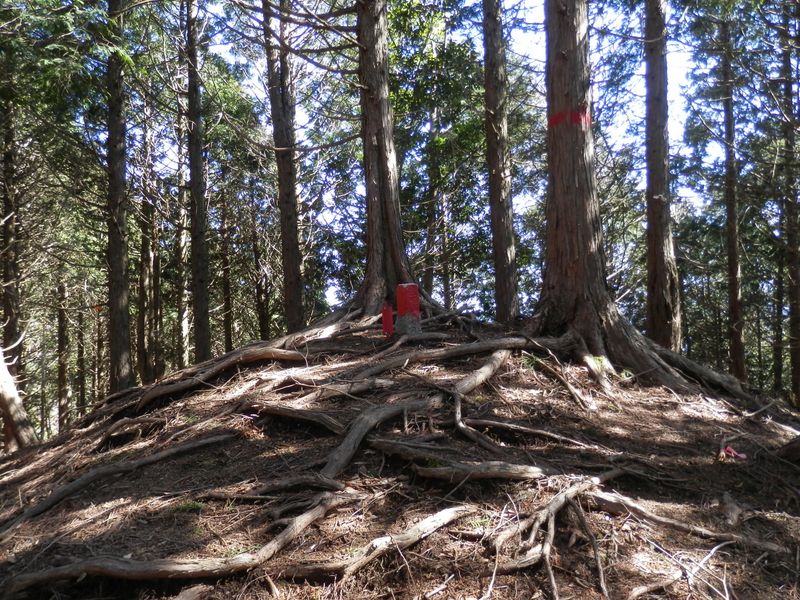 838m峰の西の小峰