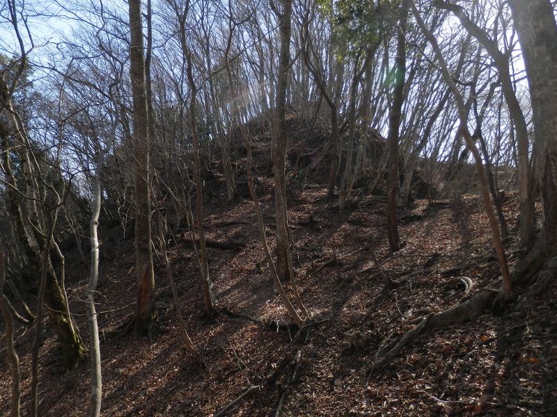 780m峰も東面を巻く