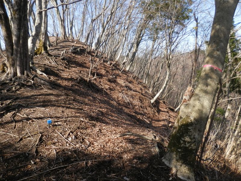 780m峰の巻き道（右）を振り返る