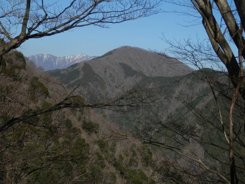 世附権現山の、迷い込みやすい西尾根