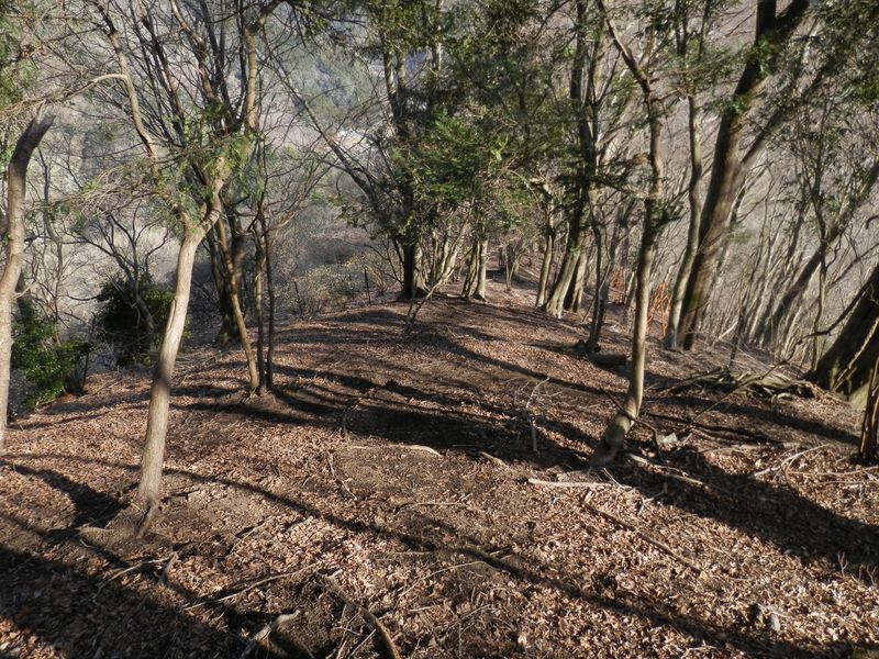 滑らないように下って行く