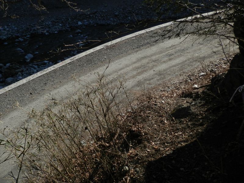 うれしや、世附川と林道