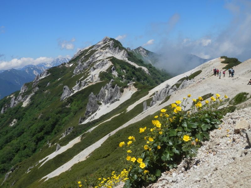 燕岳とミヤマキンバイ