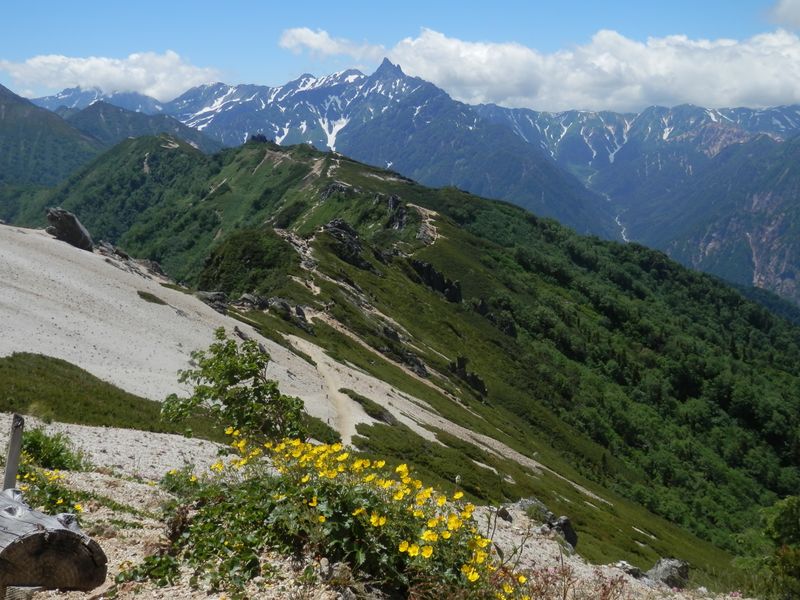 槍ヶ岳とミヤマキンバイ