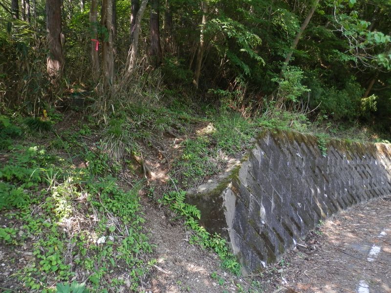 栂立尾根の取り付き