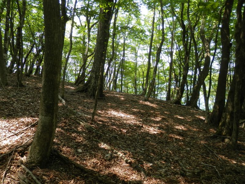 右から尾根を合わせる