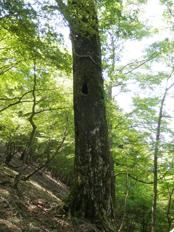 誰か住んでるのかな？