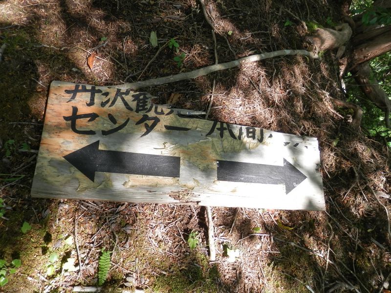 本間ノ頭に向かう