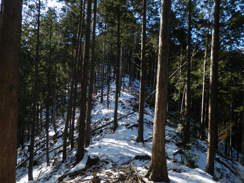 栂立尾根に乗る