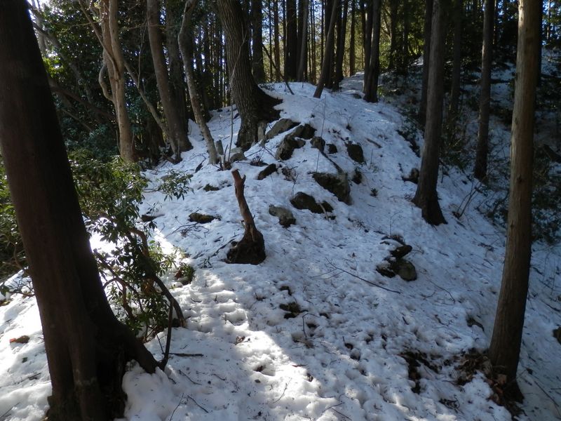 栂立尾根がゆっくりと右にカーブ