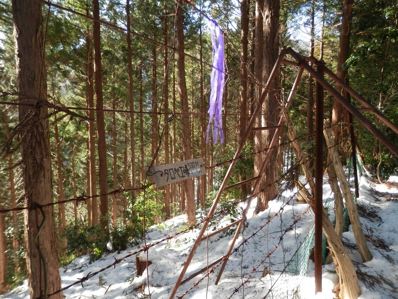 タロベエ峰の脚立