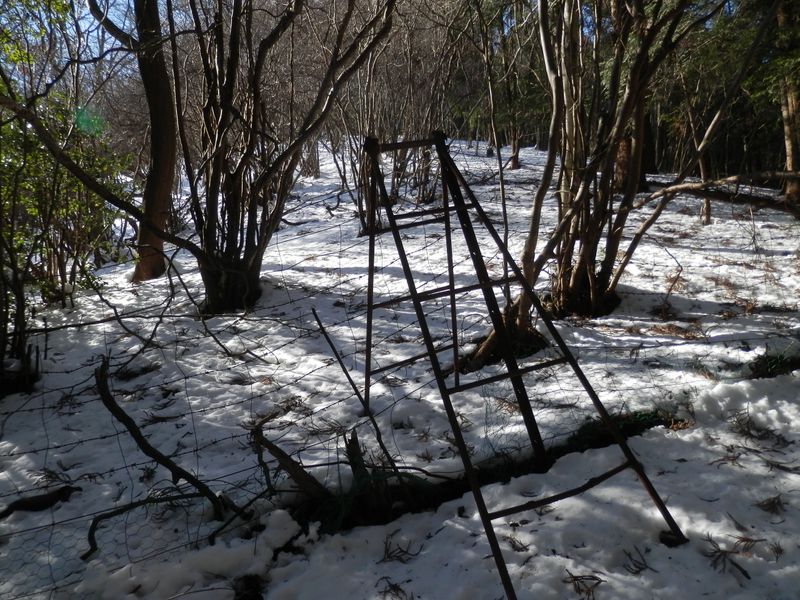 今にも壊れそうな脚立