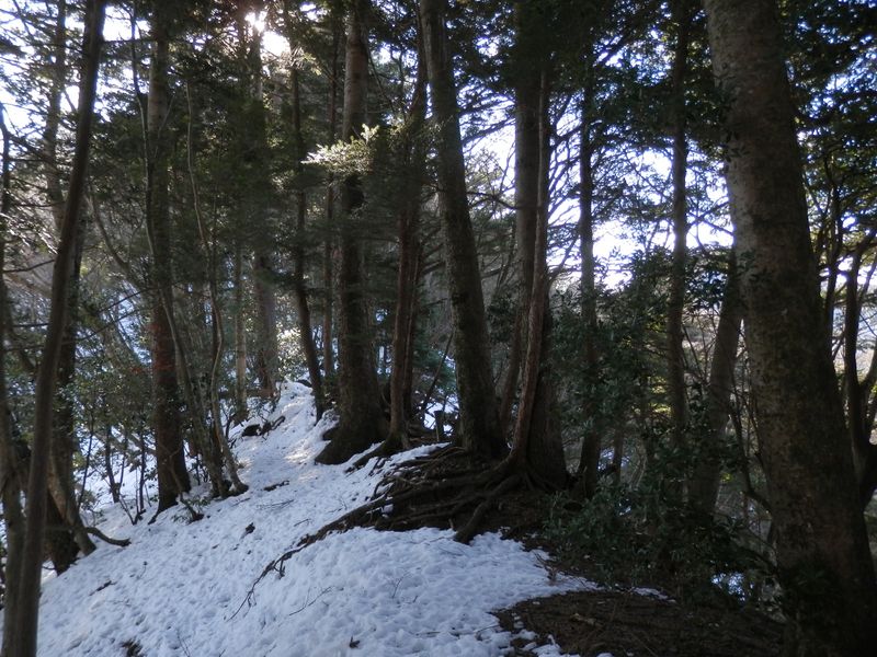 尾根が狭くなった