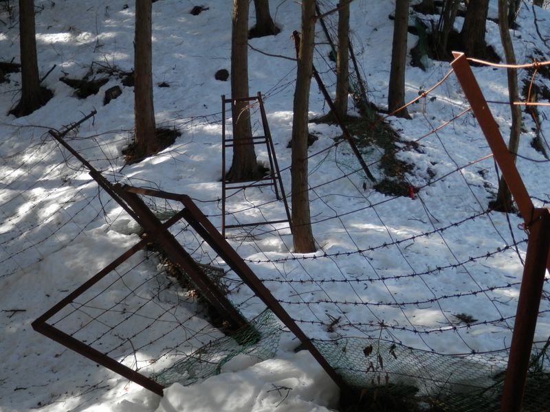 向こうの脚立を越える