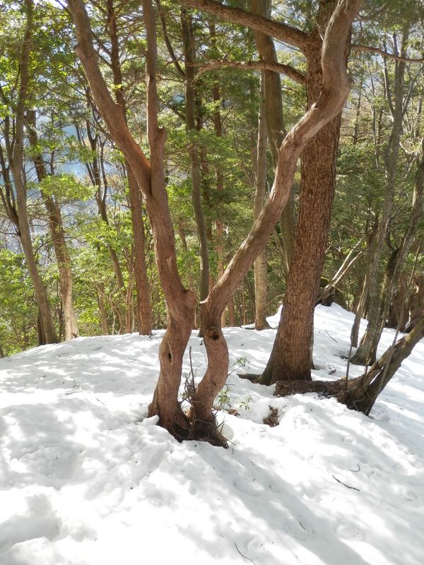 着きそうで着かない